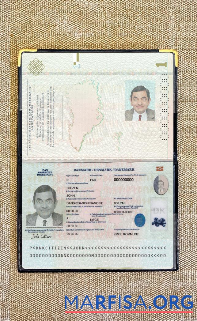 Realistic Denmark passport 2022 present photolook template